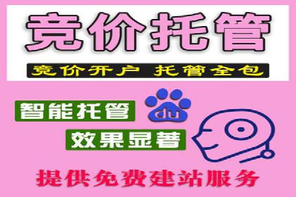 SEM优化托管服务案例分享